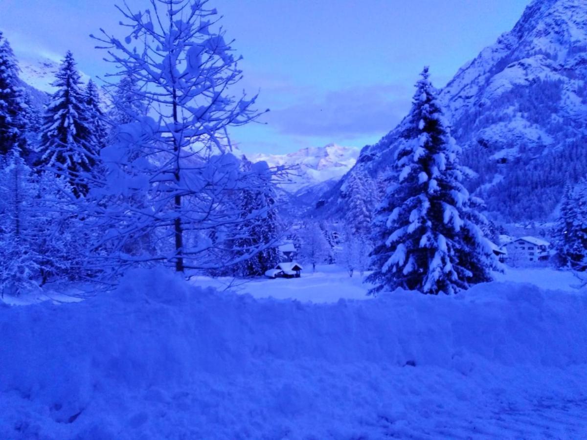 Appartement Quadrifoglio Gressoney-Saint-Jean Exterior foto